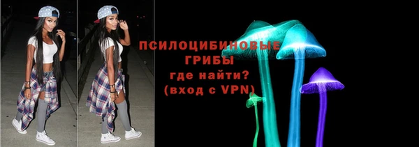 ПСИЛОЦИБИНОВЫЕ ГРИБЫ Киреевск
