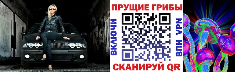 Псилоцибиновые грибы ЛСД Асино