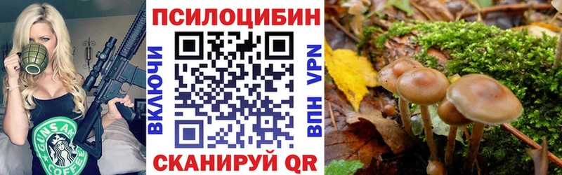 Галлюциногенные грибы Psilocybine cubensis  Купить закладки  Асино 