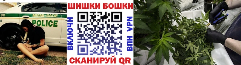 Купить где  Асино  Конопля план 